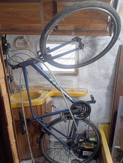 Giant bicycle