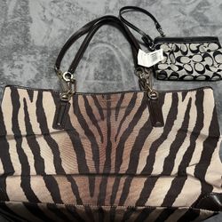 Designer Handbag & Wallet 