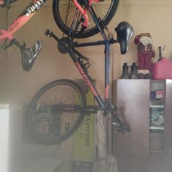 Mongoose Bike Goes For 375 