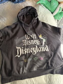 Disneyland Adult Hoodie