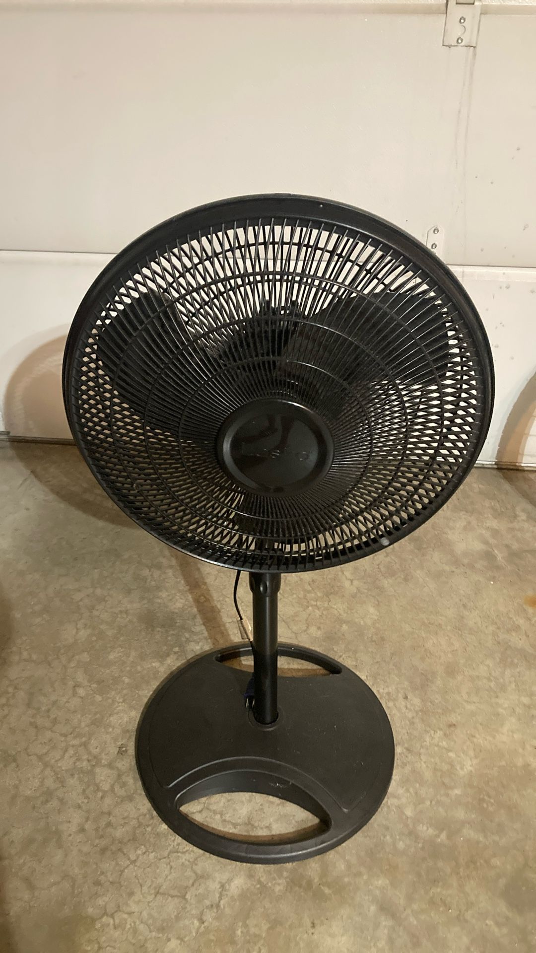 Fan