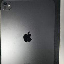 iPad Pro 11" M4 256 GB