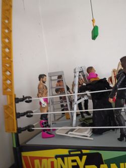 WWE ring and figures
