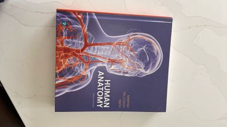 Human Anatomy