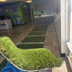 Turf: Pet Flo on sale $1.59/sqf