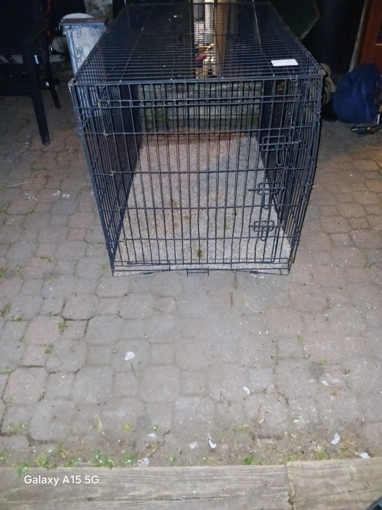 Dog Cage