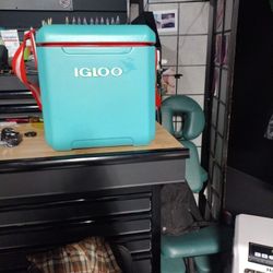 Igloo