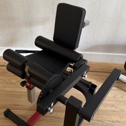 Leg Extension and Curl Machine