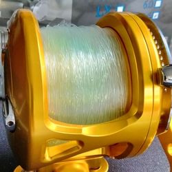 Avet JX  G2 Conventional Fishing Reel (Other Offering Accurate Daiwa Shimano)