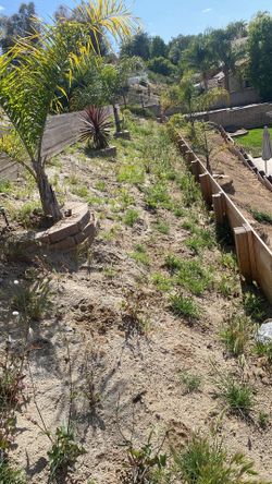 Cleanups hill