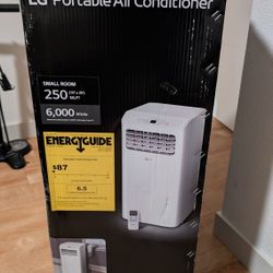 Small  LG Air Conditioner 