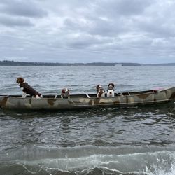 17 Grumman Canoe