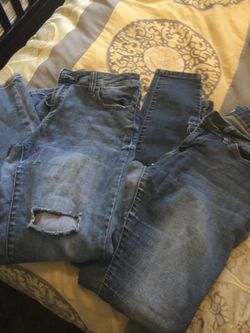Women’s pants