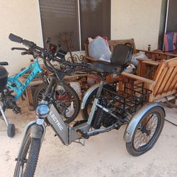 LECTRIC TRIKE