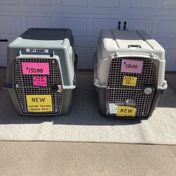 Dog XXX Large Kennels