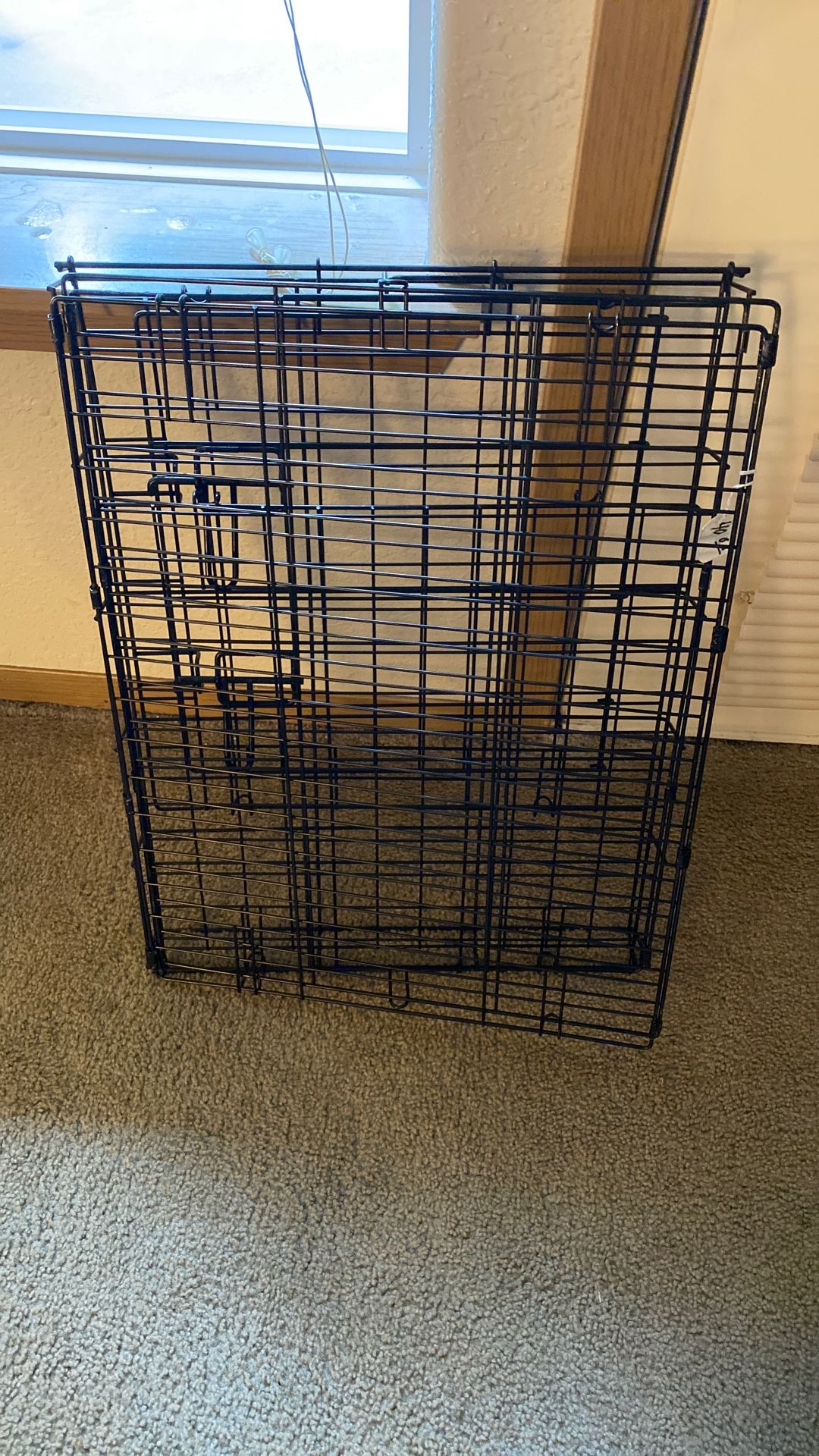 Kennel