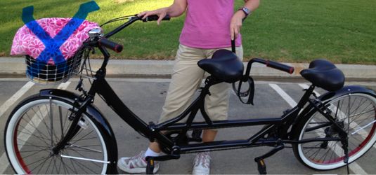 Tandem Folding Bike