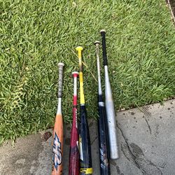 Bats