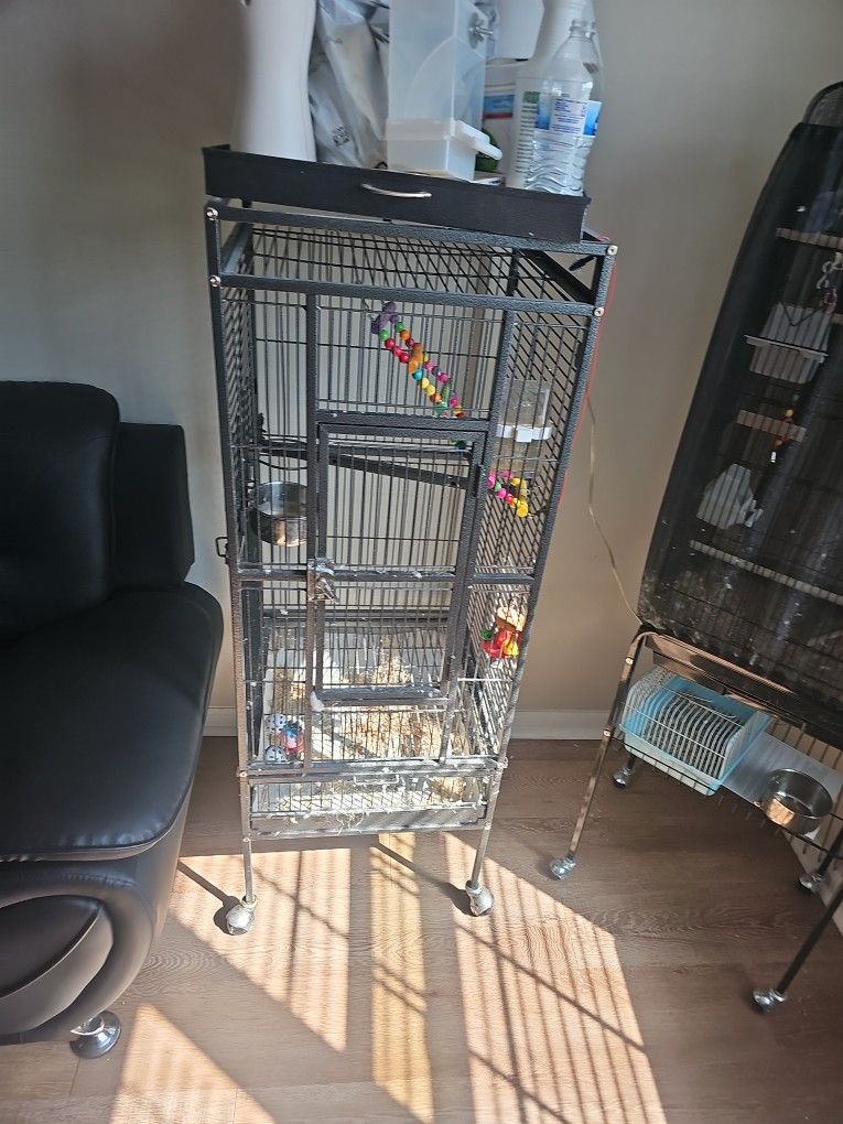 Bird 🐦 Cage