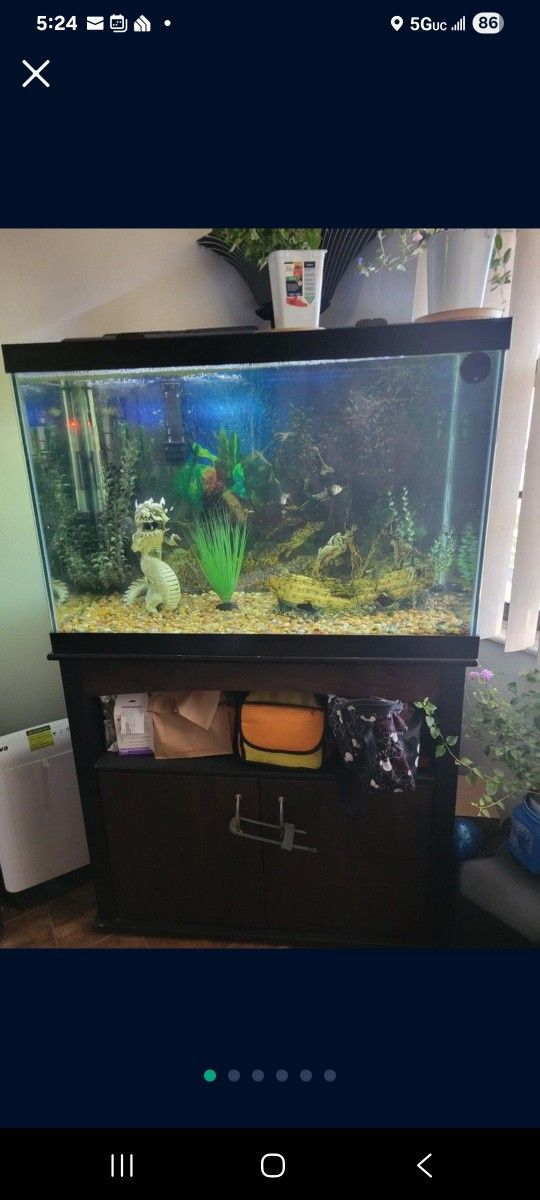 65 Gallon Aquarium With Stand