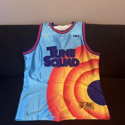 LeBron ‘Tune Squad’ Jersey 