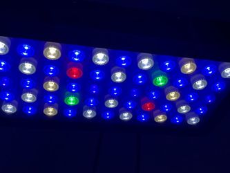 Acuarium Led Light