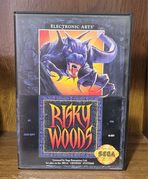 SEGA GENESIS RISKY WOODS - COMPLETE (TESTED & WORKING) 
