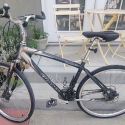 2007 Giant Cypress LX