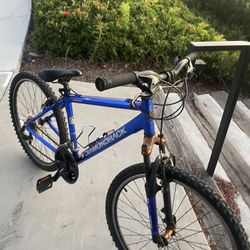 Mountain Bike