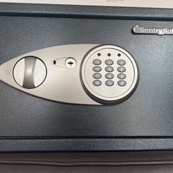 Sentry Safe