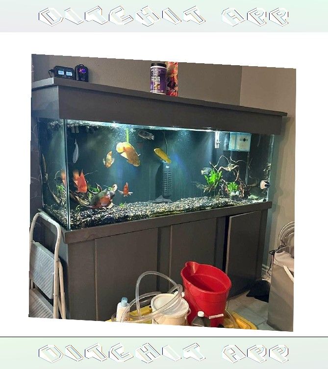 bill office Top-Grade Aquarium Setup - Premium Quality Standard