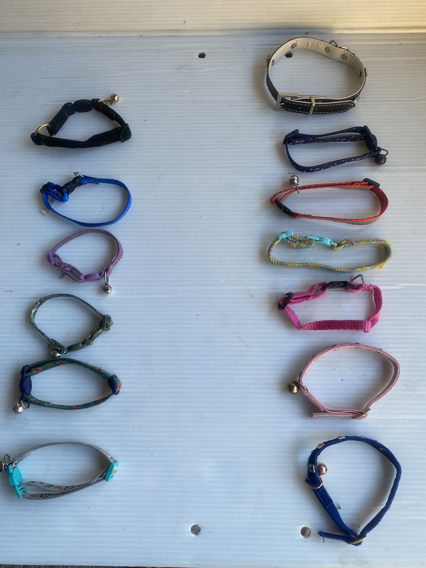 Collars For Small Dogs $1.00 Each