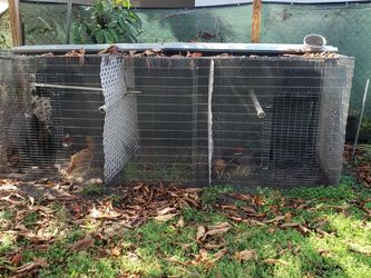 Big Cage