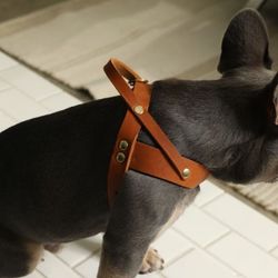 Molly And Stitch XXS Brown Leather Dog Harness $89 Retail