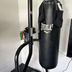 Everlast Punching Bag With Stand & Gloves