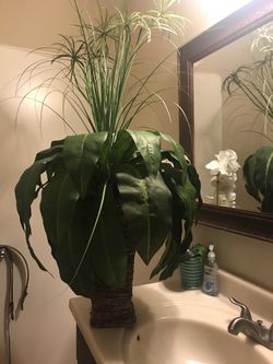 Plant