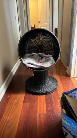 Raised Cat Bed