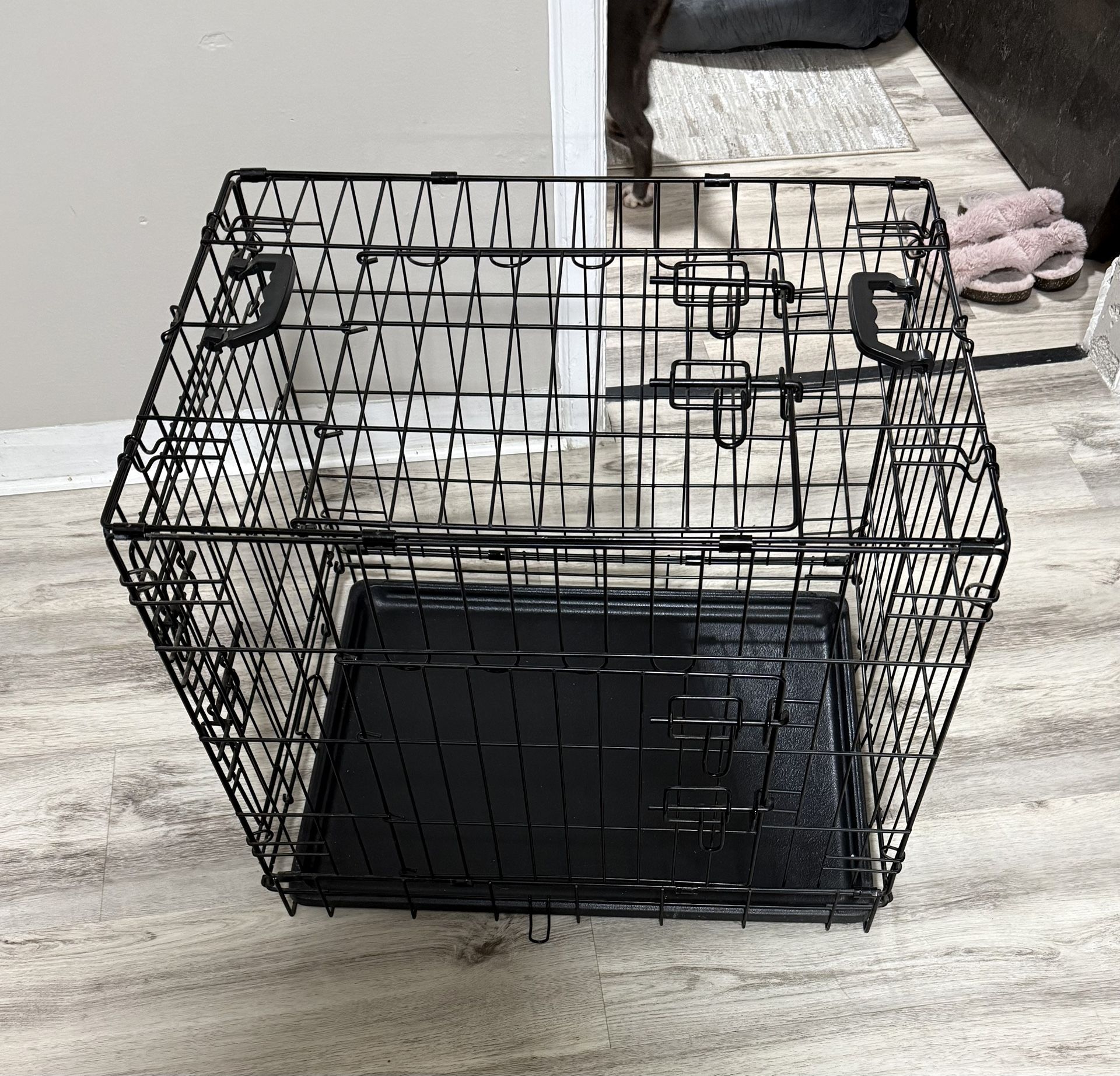 Dog Cage