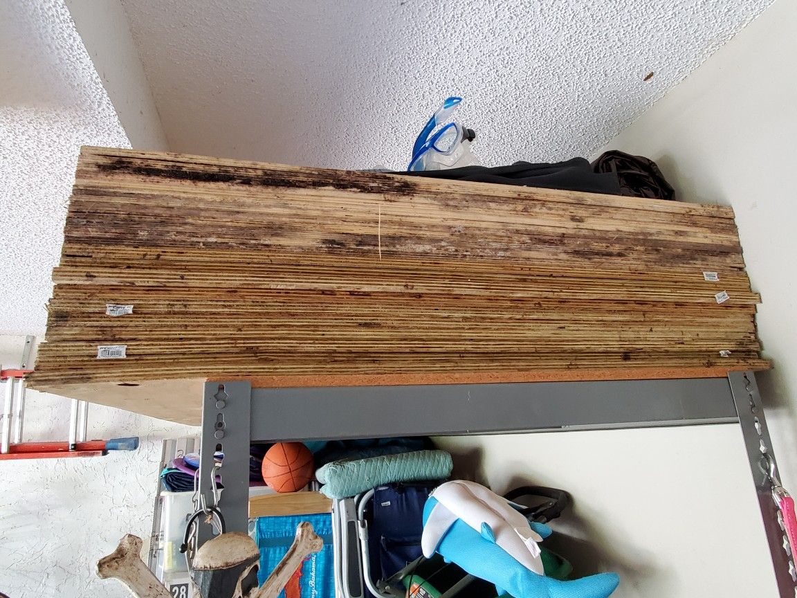 Plywood for Hurricane! 15 4'x8' sheets! for Sale in Lake Worth, FL