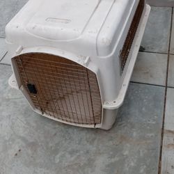 Dog House