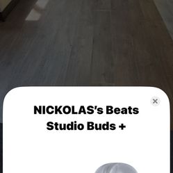Beats Pro Studio Earbuds