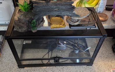 10 gallon terrarium