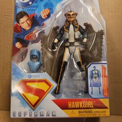 2025 DC Superman Movie HAWKGIRL 6" Action Figure Collect To Build 