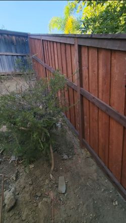 Fence