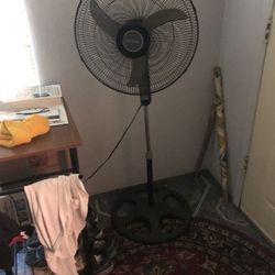 Floor fan