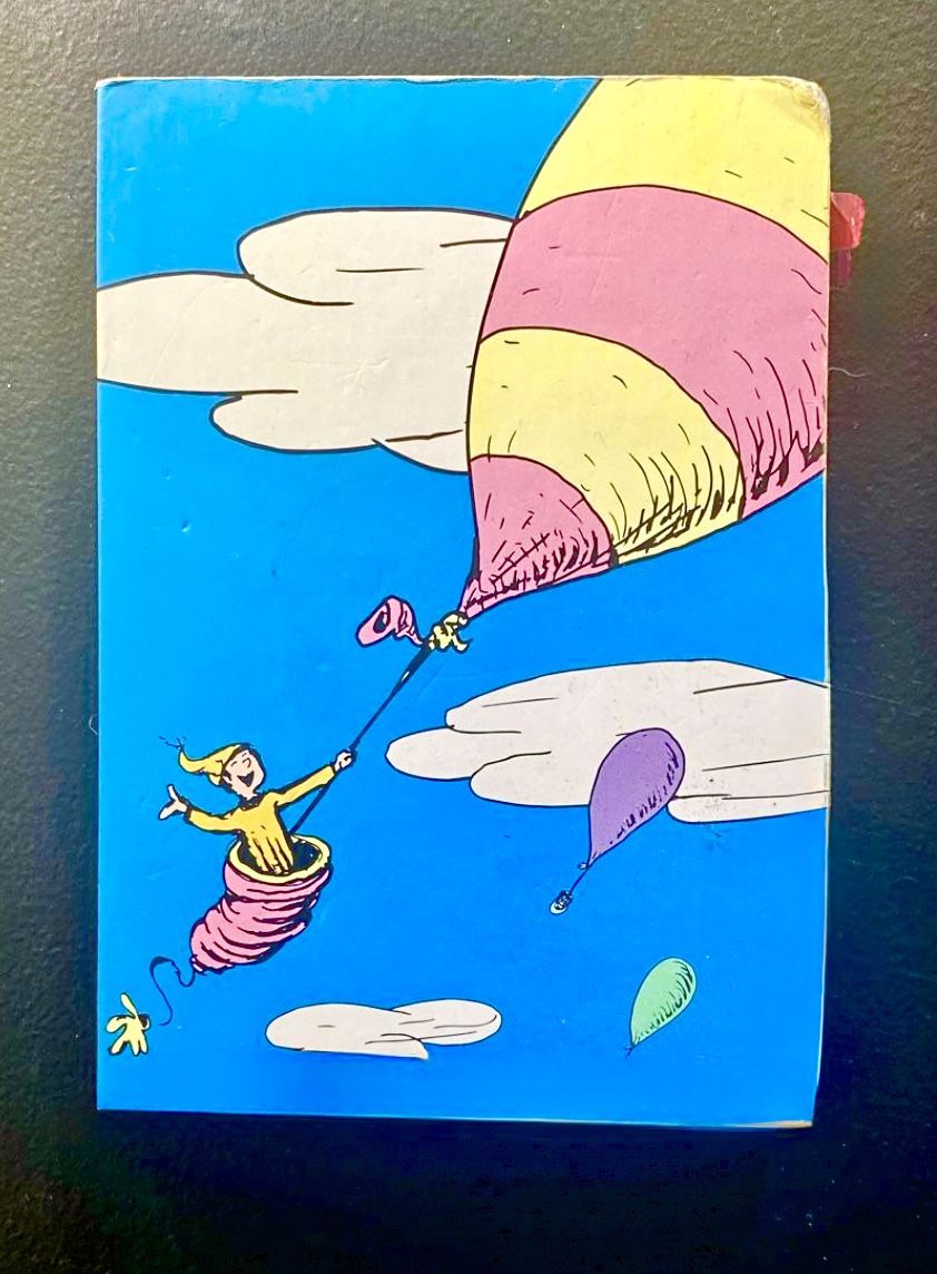 Oh The Places You'll Go Pocket Journal
