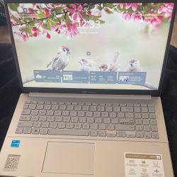 Asus Vivobook Laptop