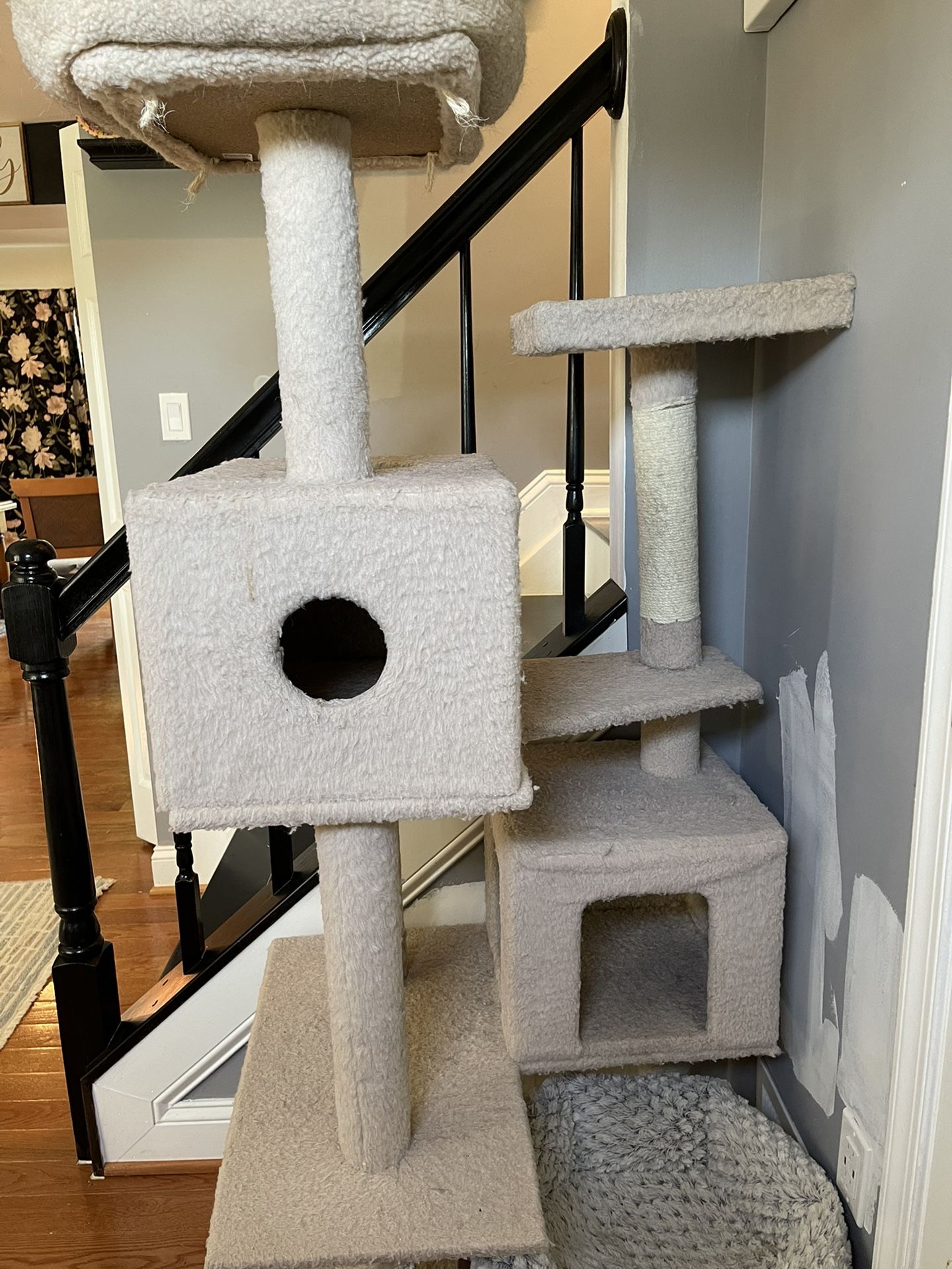 Cat house