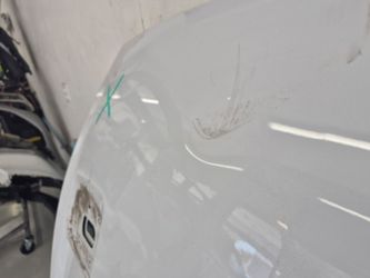 Mustang oem aluminum hood