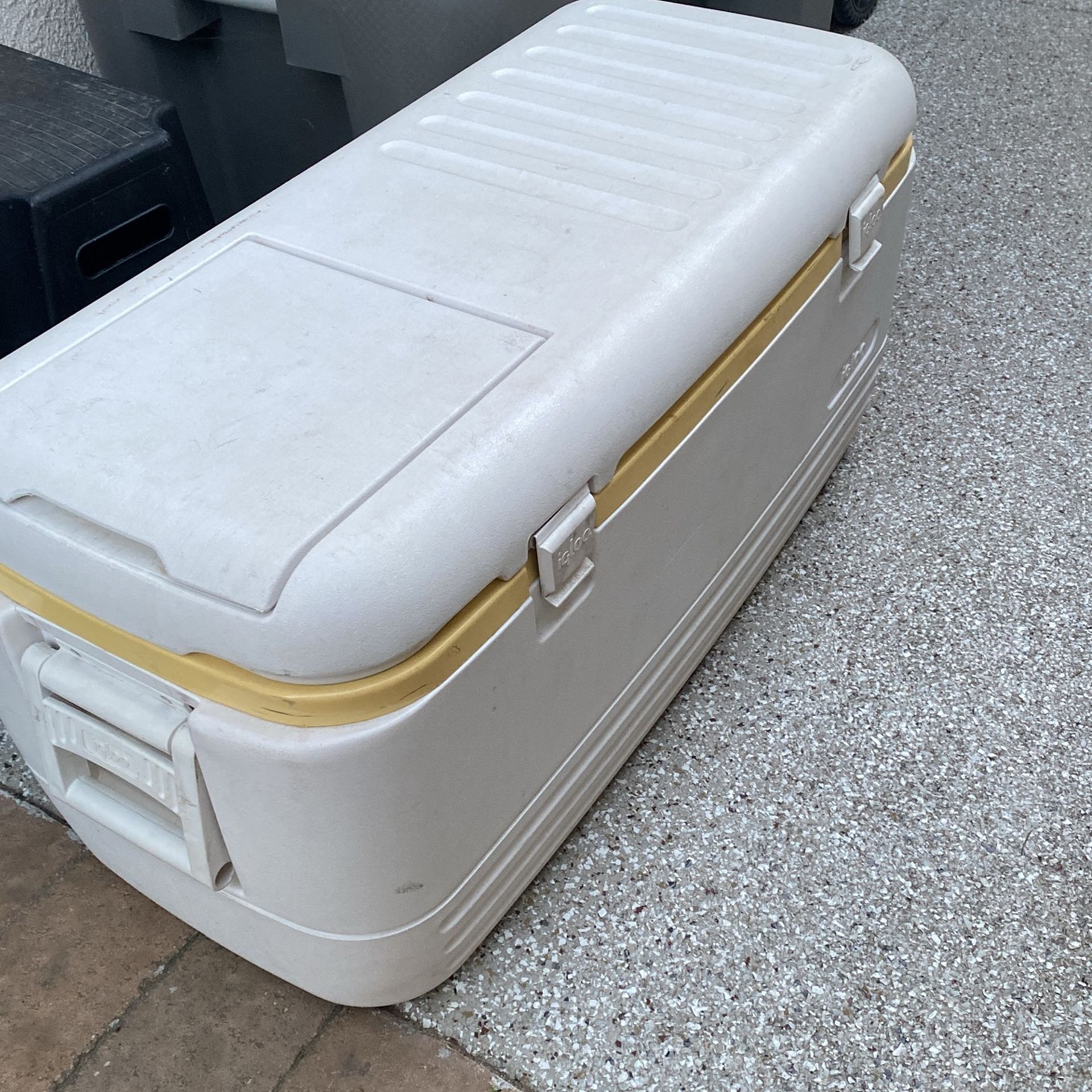 Igloo cooler extra large